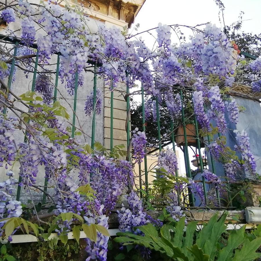 Villa Manasse آتْشّي كاستيلّو المظهر الخارجي الصورة