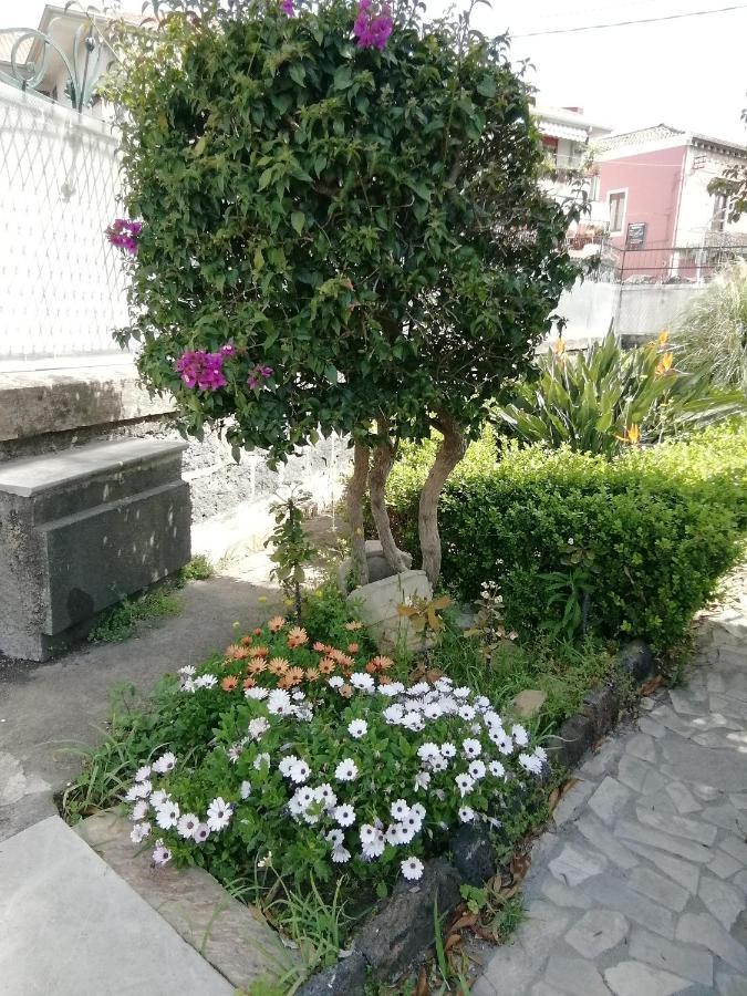 Villa Manasse آتْشّي كاستيلّو المظهر الخارجي الصورة